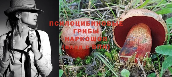 СК Надым