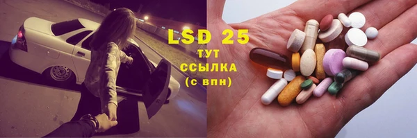 СК Надым